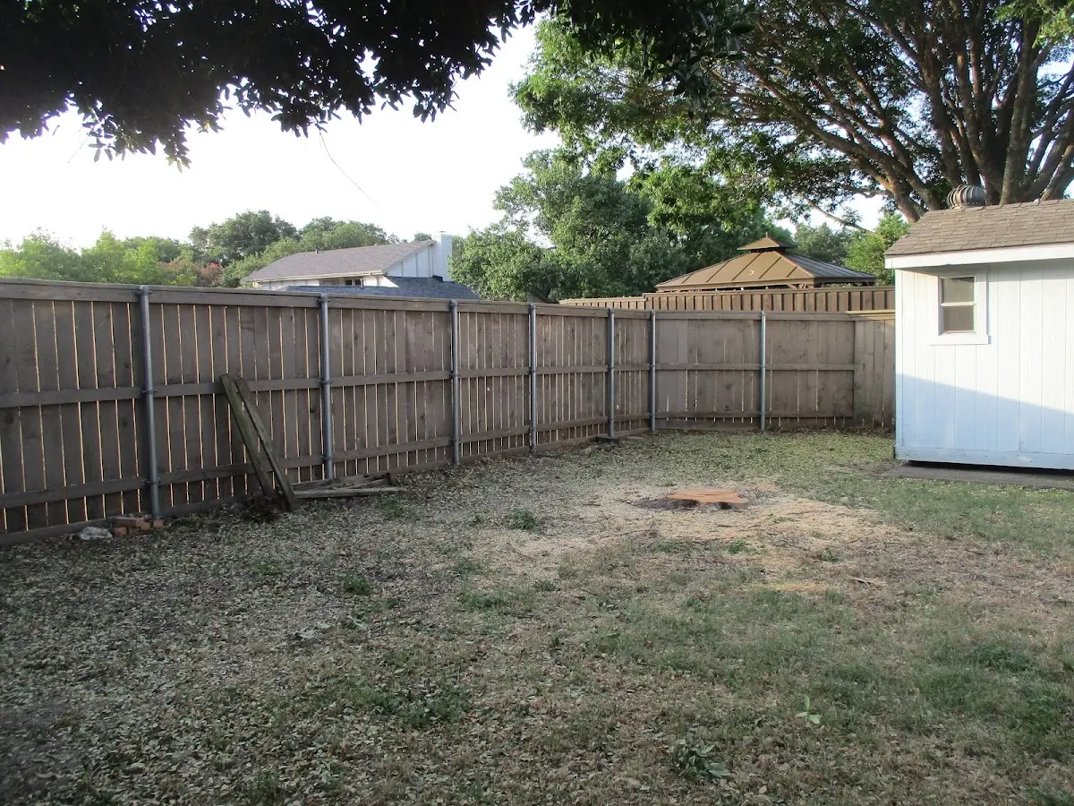 Cleared yard after professional tree removal in Kempton