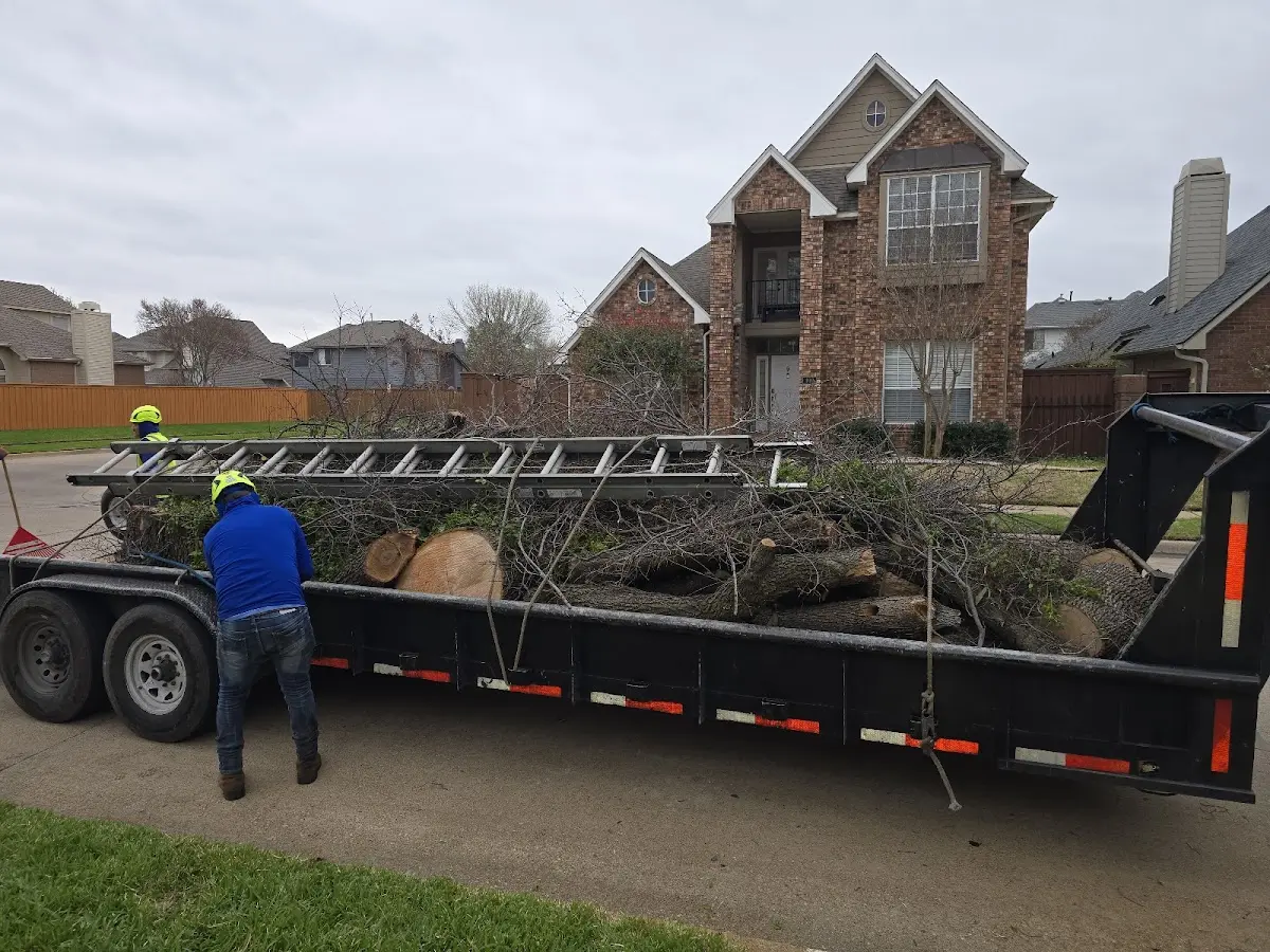 Expert Lot Clearing with proper safety equipment in Kempton